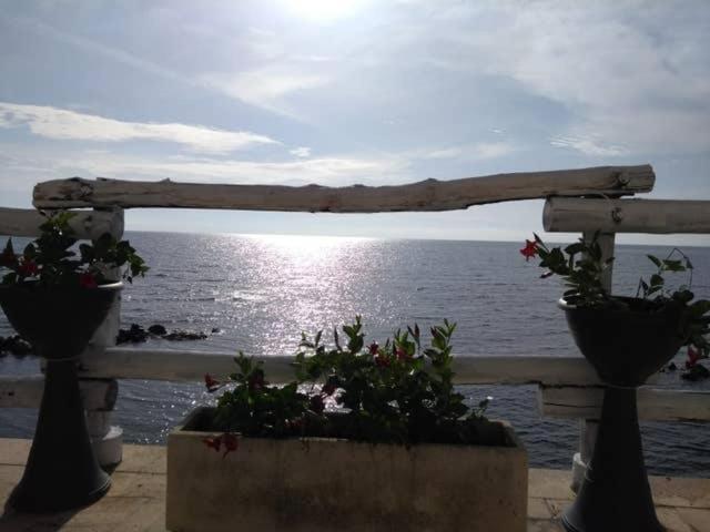 Al Chiaro Di Luna Resort Borgo Pantano Eksteriør bilde